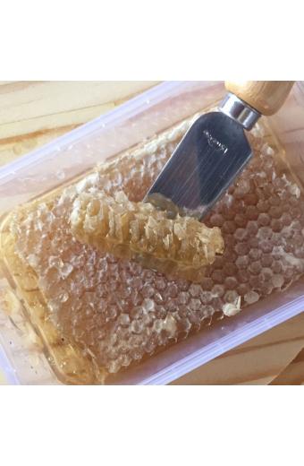 Favo de Mel Bandeja 300g